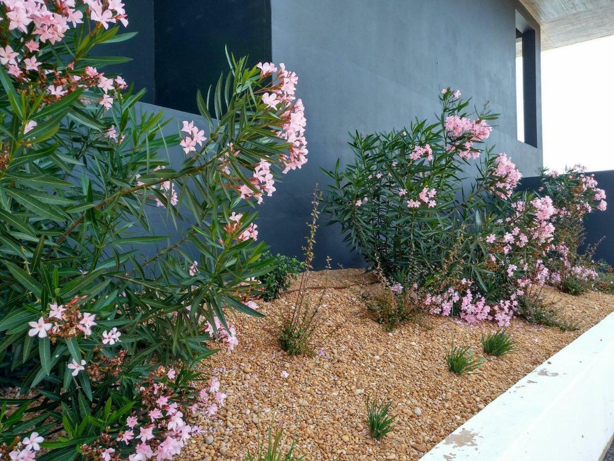 Apartament Casa Sensa Albufeira Zewnętrze zdjęcie